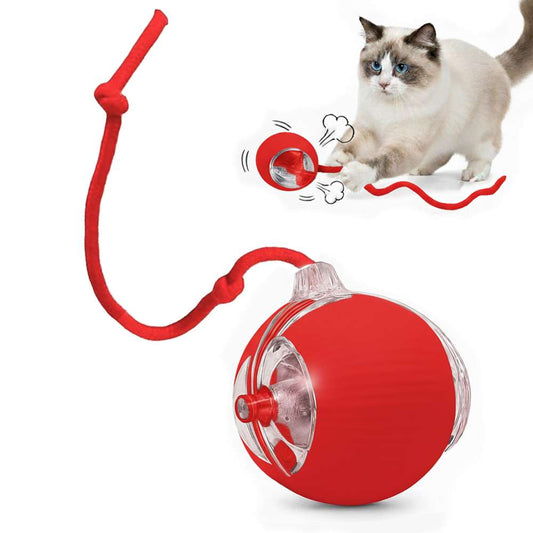 Pelota Interactiva Para Mascotas